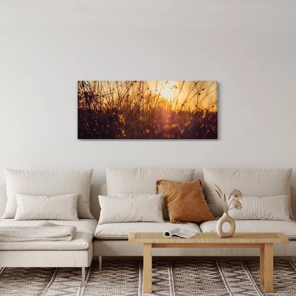 Tablou - Câmp la apus de soare (120x50 cm)