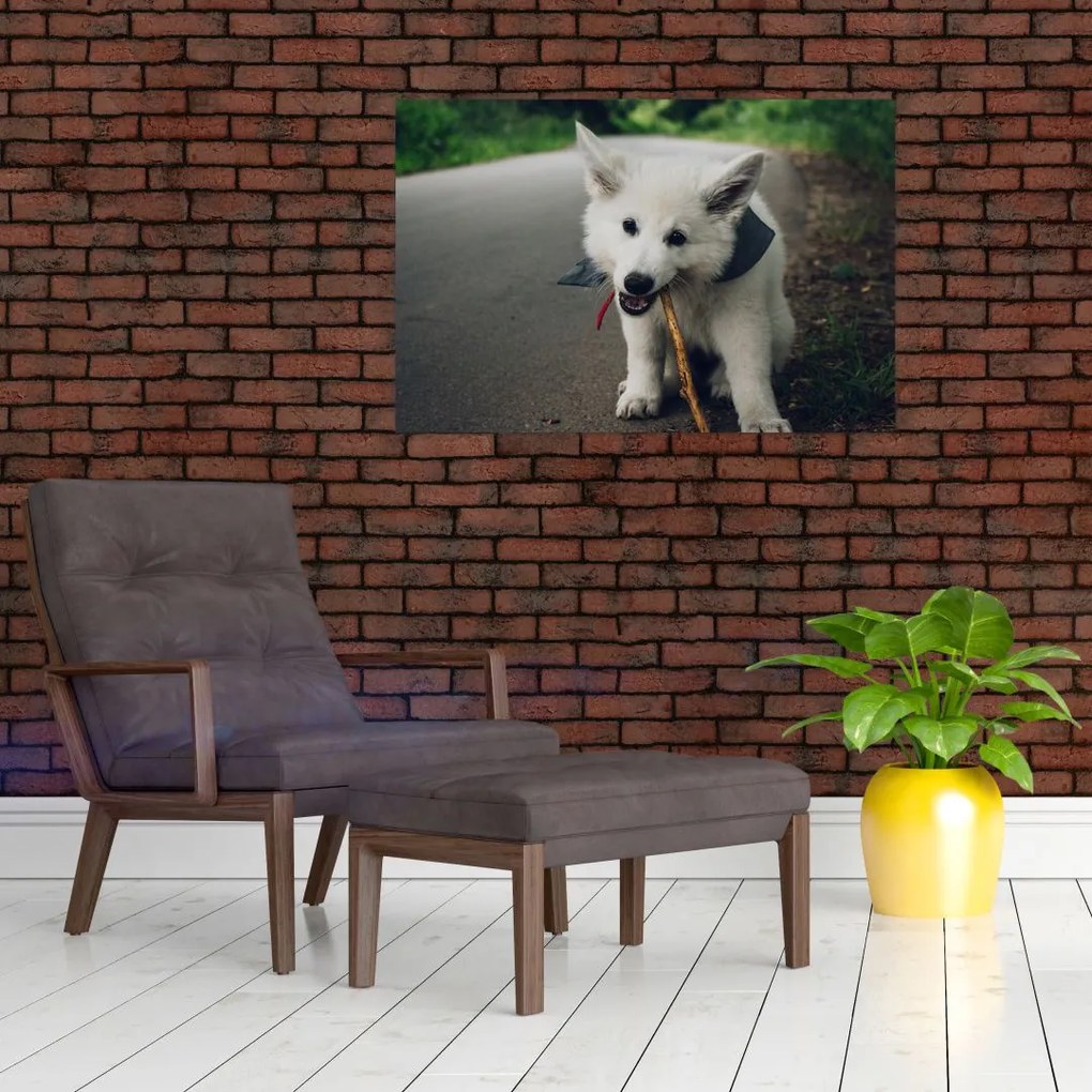 Tablou cu câinele alb (90x60 cm)