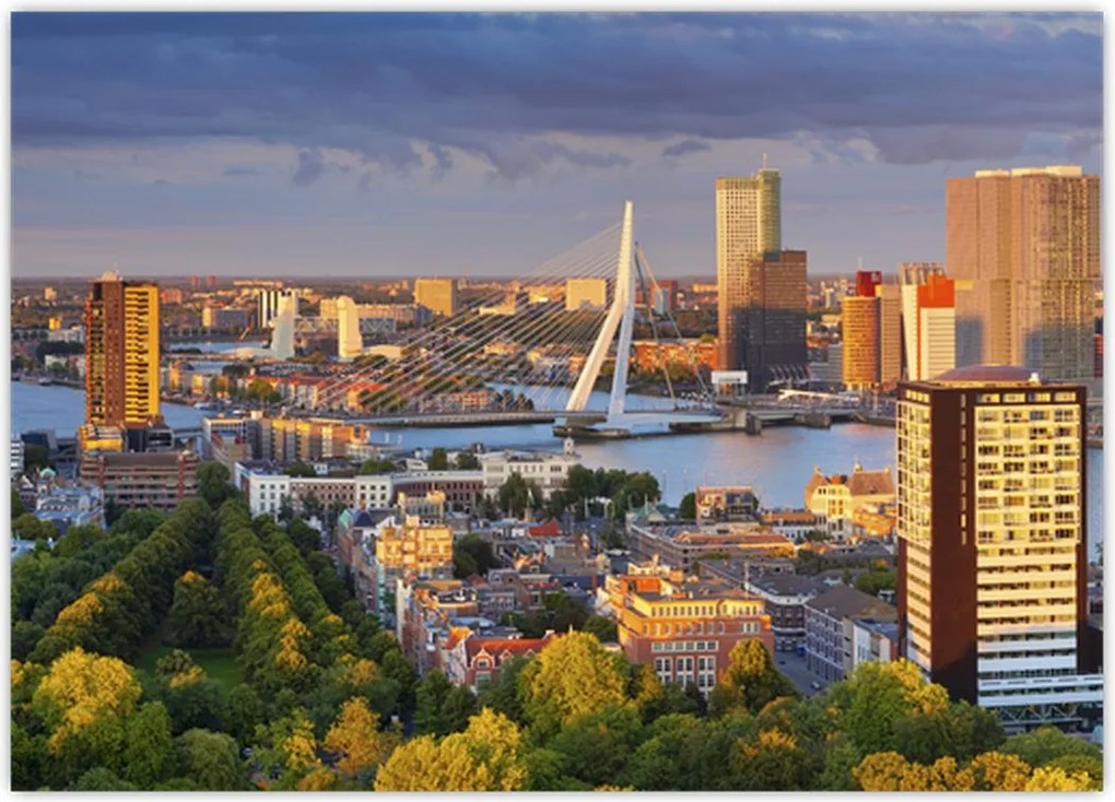 Tablou - Panorama Rotterdamului, Țările de Jos (70x50 cm)