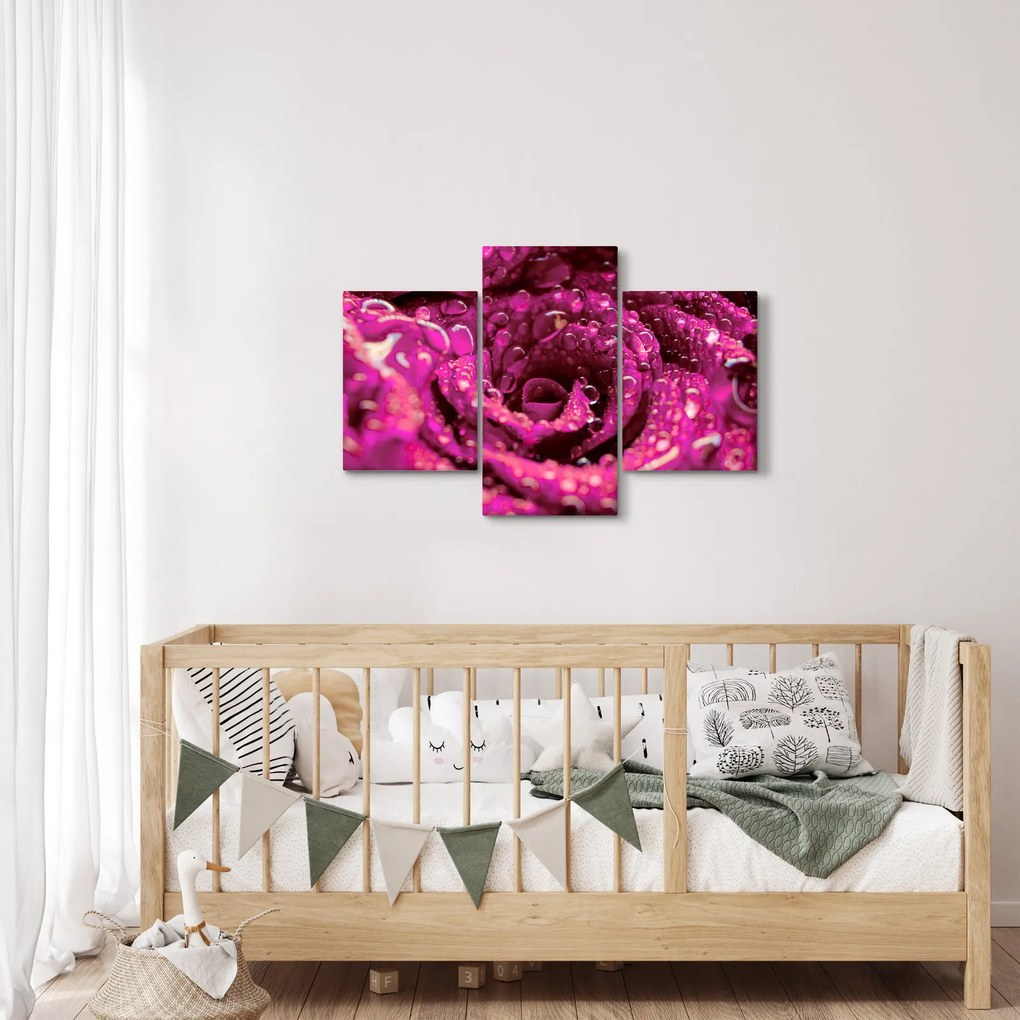 Tabloul cu floarea trandafirului roz (90x60 cm)