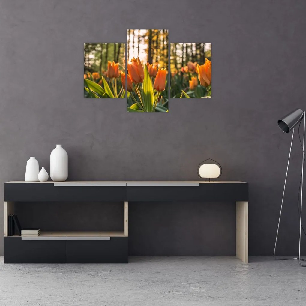 Tablou - florile lalelelor (90x60 cm)