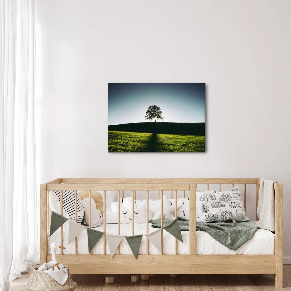 Tablou cu natura - copac (70x50 cm)