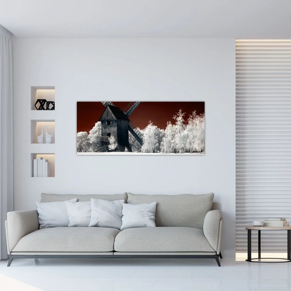 Tablou cu moară (120x50 cm)
