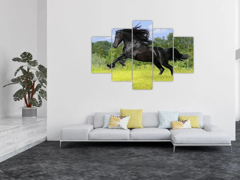 Tablou - Cal cu o coamă curgătoare (150x105 cm)