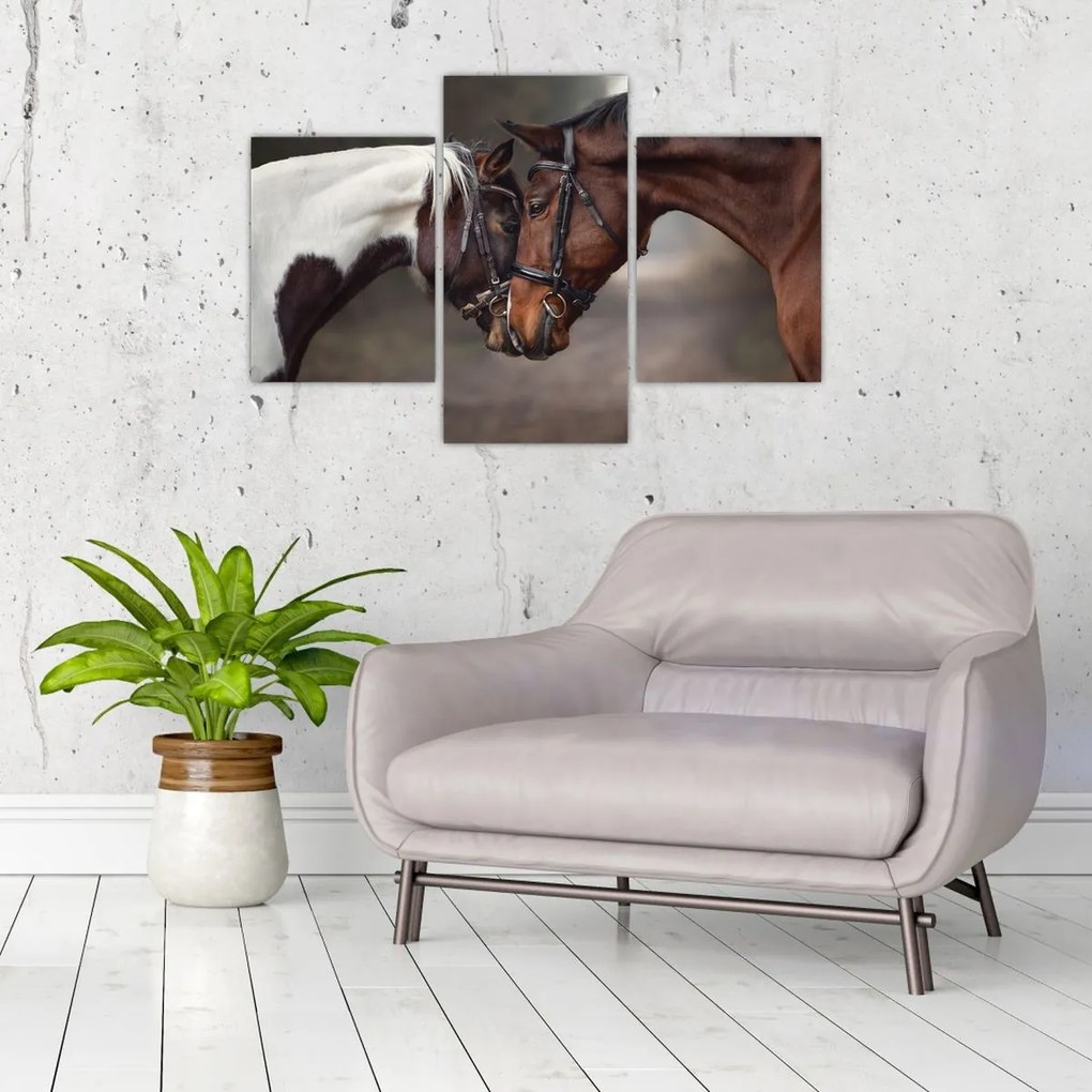 Tablou - Cai îndrăgostiți (90x60 cm)