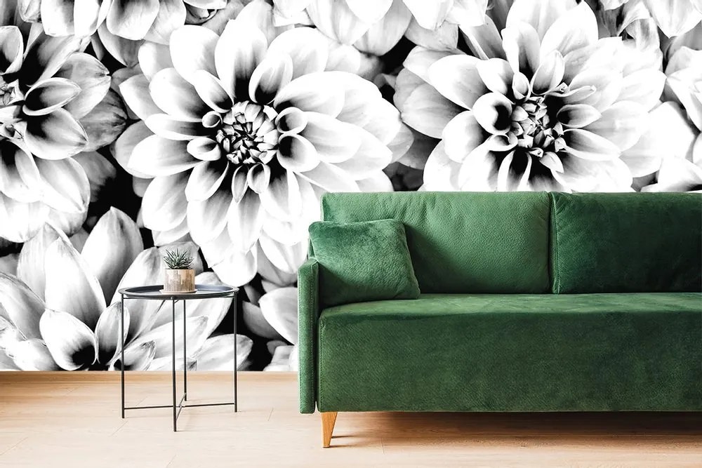 Fototapet flori de dalia în design alb-negru