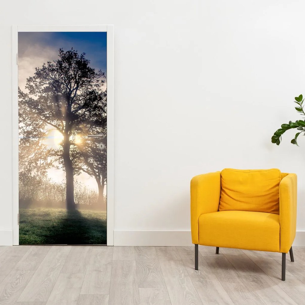 Fototapet pentru ușă - Copacul în ceață (95x205cm)