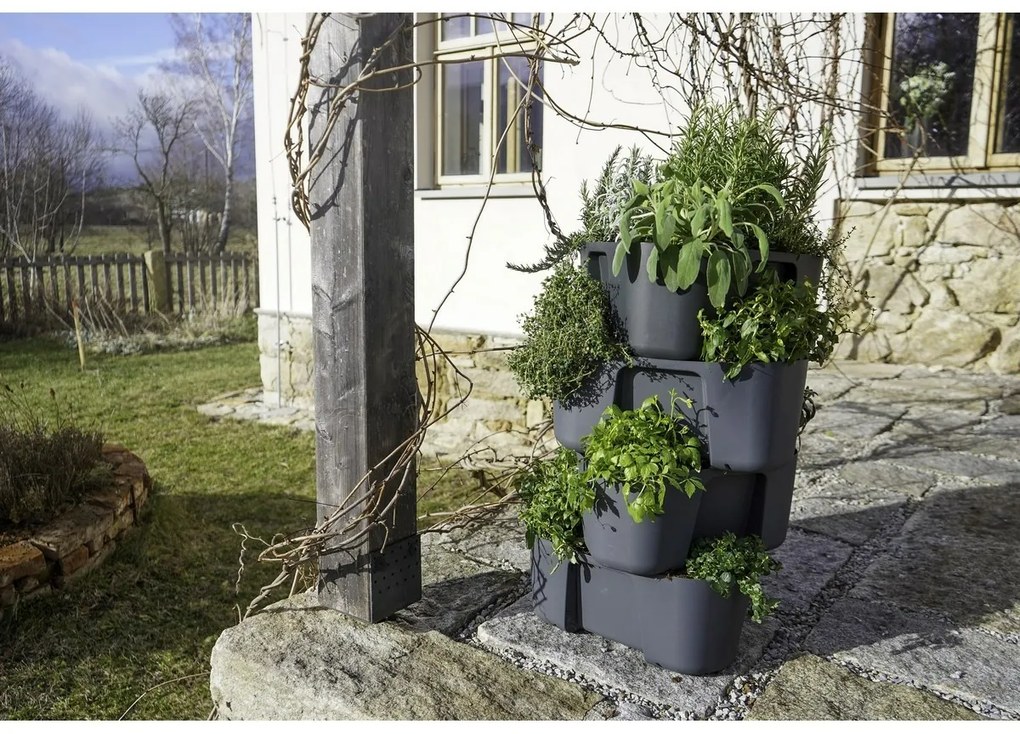 Container pentru cultivare cartofi Gardenico antracit