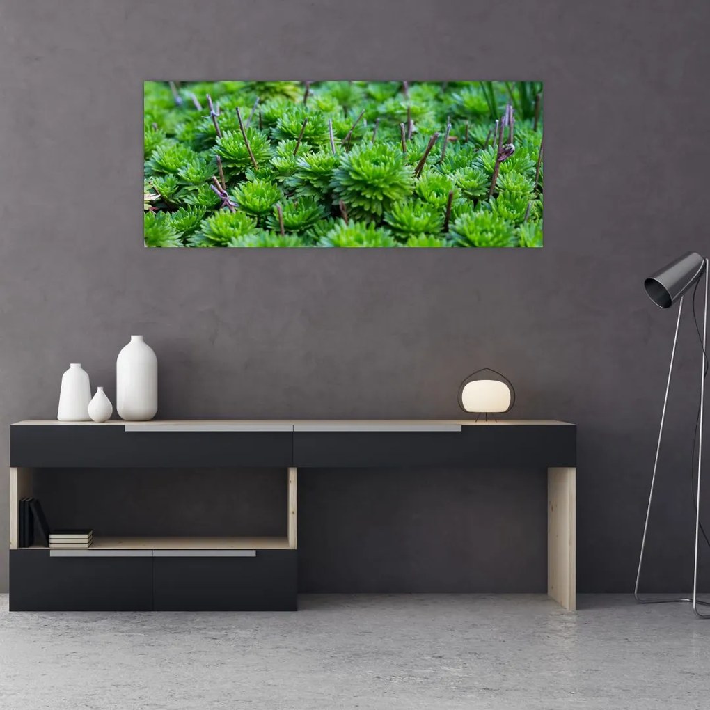 Tablou - Aloe (120x50 cm)