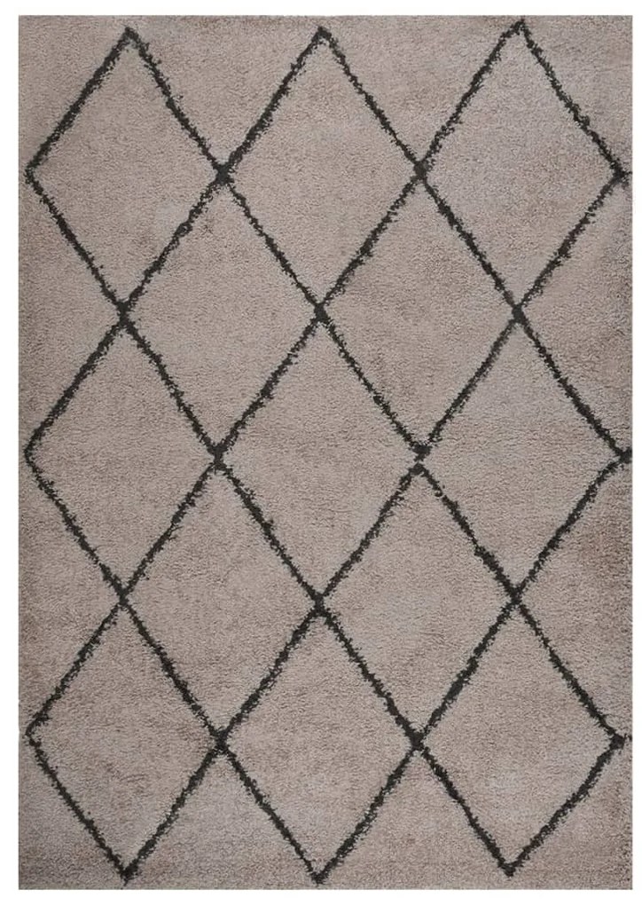 Covor Shaggy, fir lung, bej si antracit, 120x170 cm beige and anthracite, 120 x 170 cm