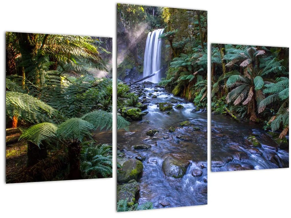 Tablou cu pădurea ploilor din Austalia (90x60 cm)
