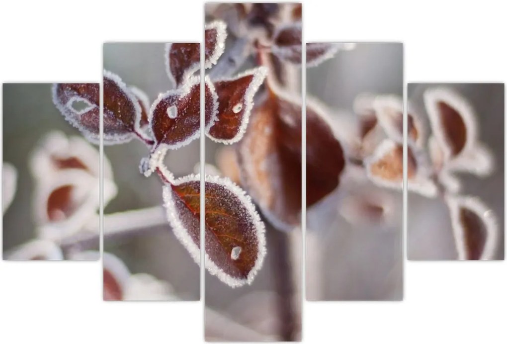Tablou - Detaliu frunze (150x105 cm)