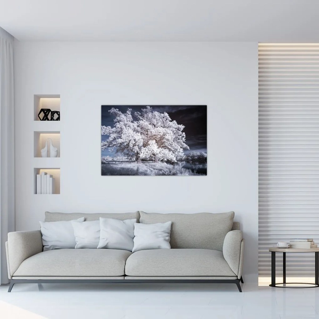 Tablou - Albă ca Zăpada Copac (90x60 cm)
