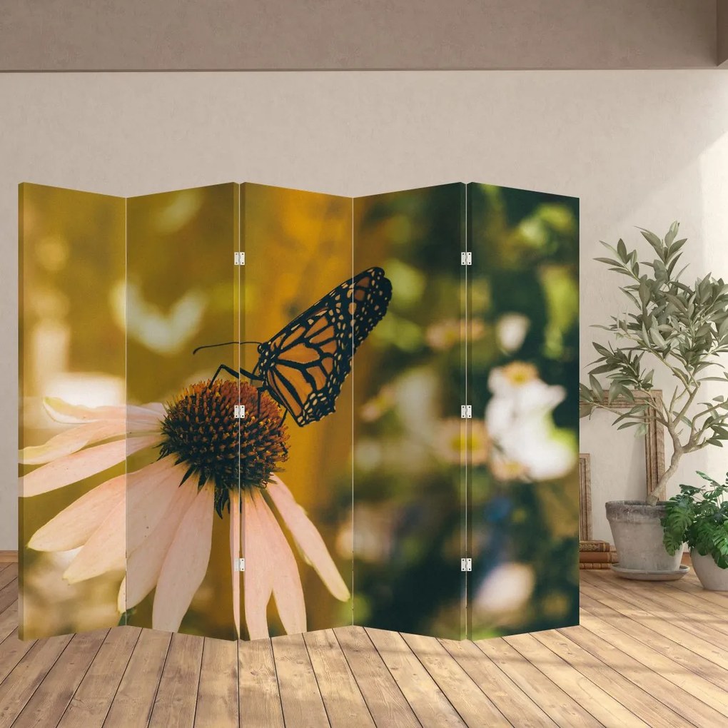 Paravan - Fluture pe floare (210x170 cm)
