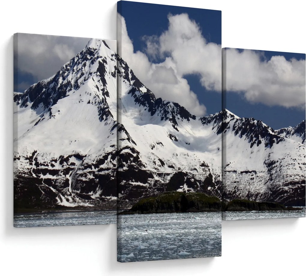 Tablou - Parcul Național Kenai Fjords (90x60 cm)