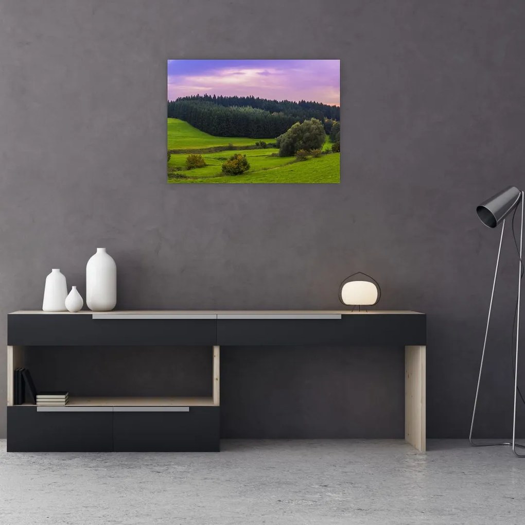 Tablou cu lunca (70x50 cm)