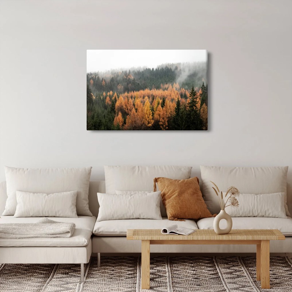 Tablou - Pădure toamna (90x60 cm)