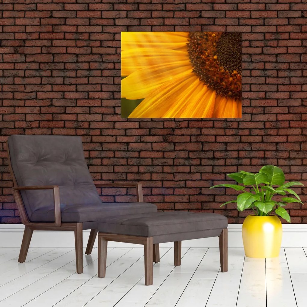 Tablou pe sticlă - Floarea-soarelui (70x50 cm)