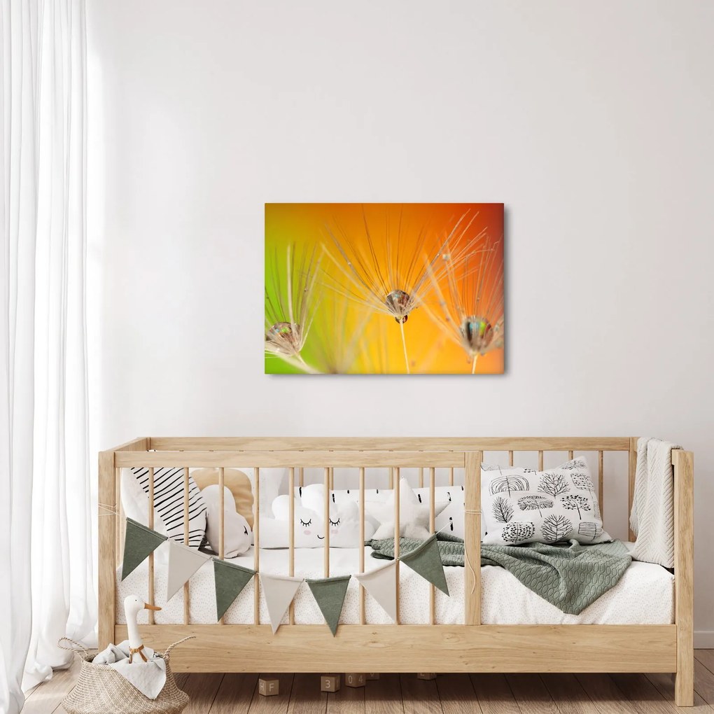 Tablou cu picături pe plantă (70x50 cm)