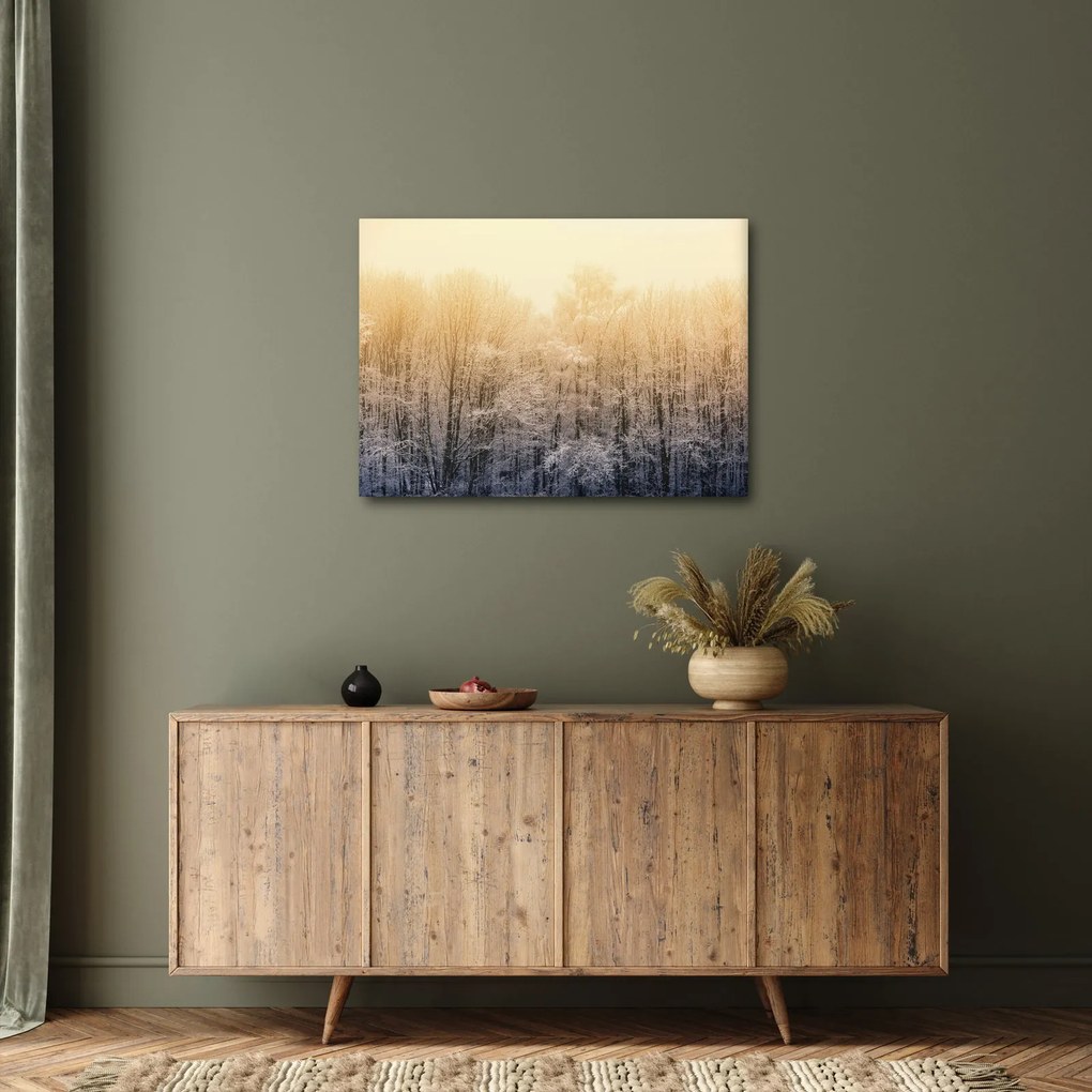 Tablou cu pădure geroasă (70x50 cm)