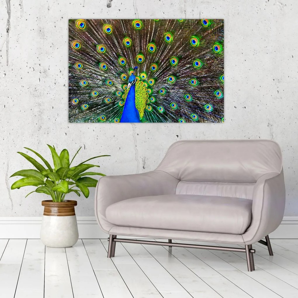 Tablou - Păun (90x60 cm)