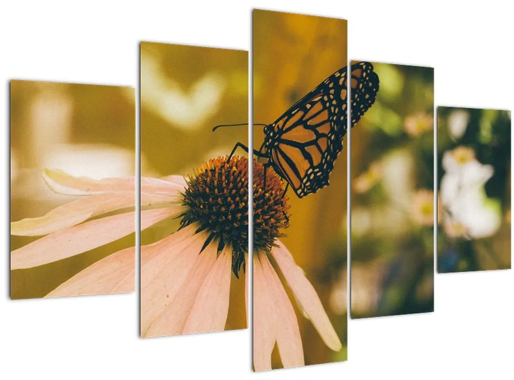 Tablou cu fluture pe floare (150x105 cm)