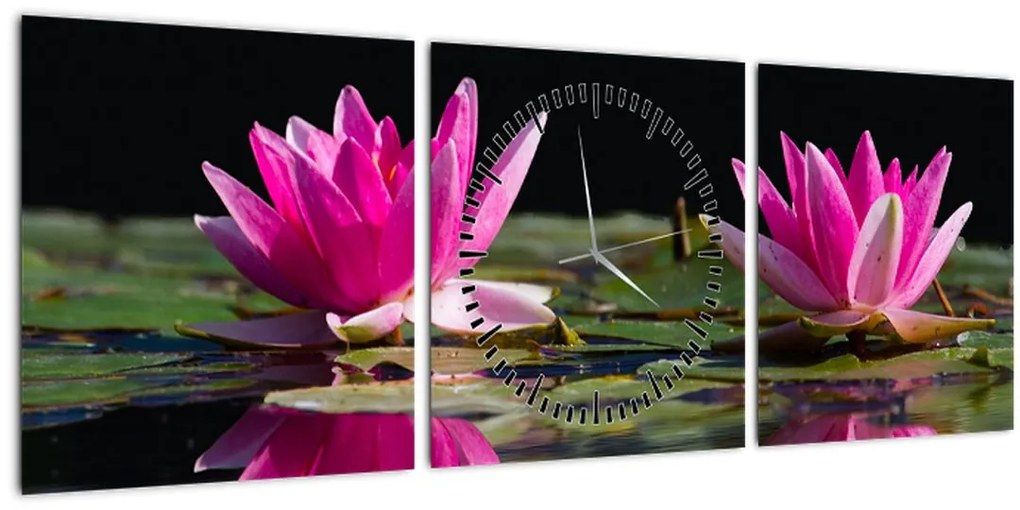 Tablou - Nuferi pe apă (cu ceas) (90x30 cm)