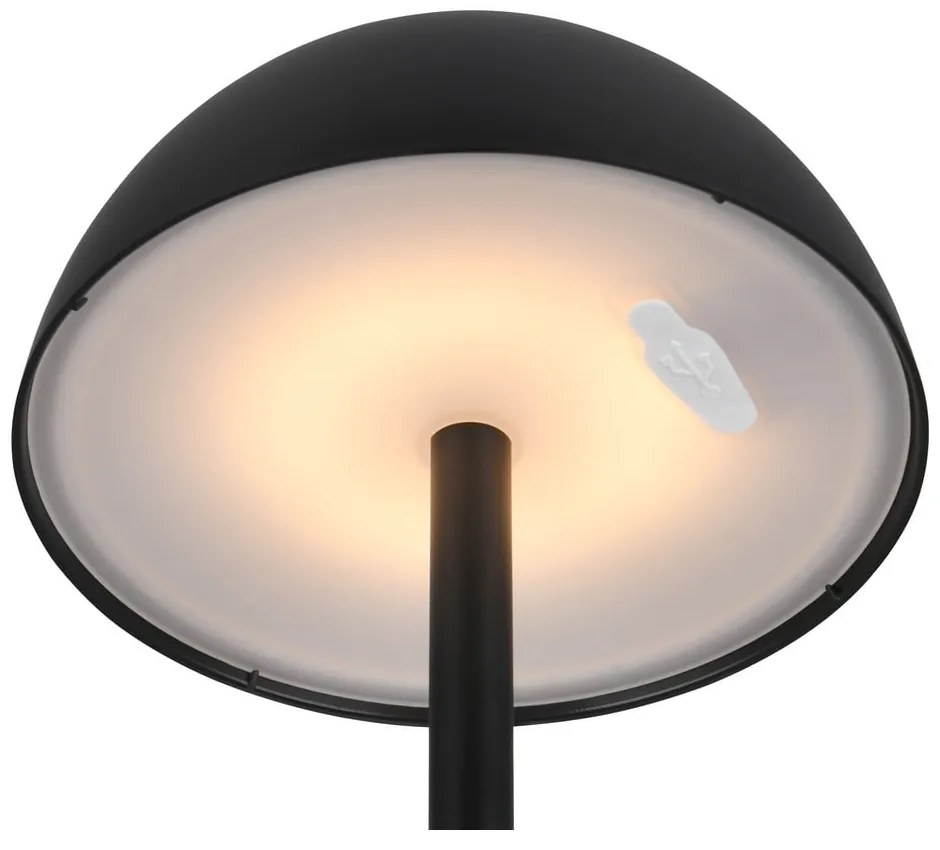 Corp de iluminat pentru exterior cu intensitate reglabilă ø 13,5 cm Ricardo – Reality