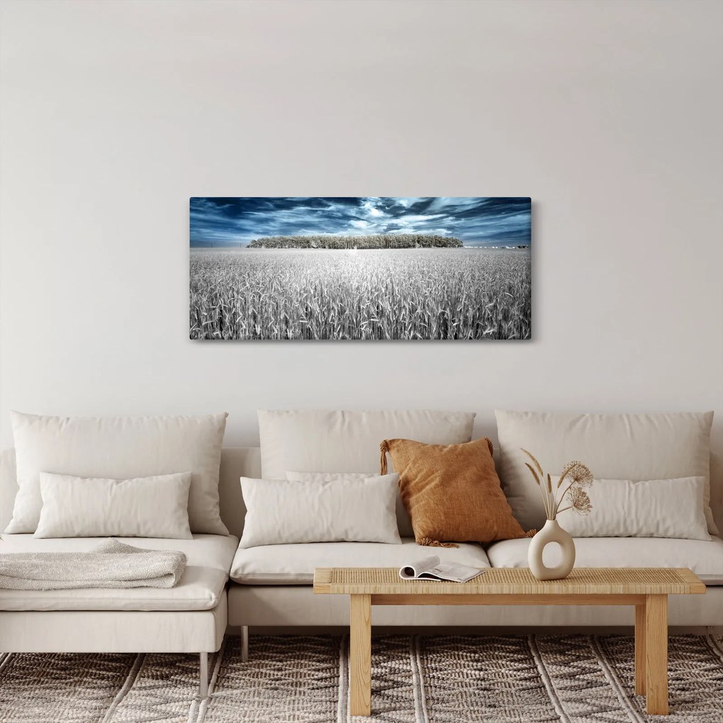 Tablou cu câmp (120x50 cm)