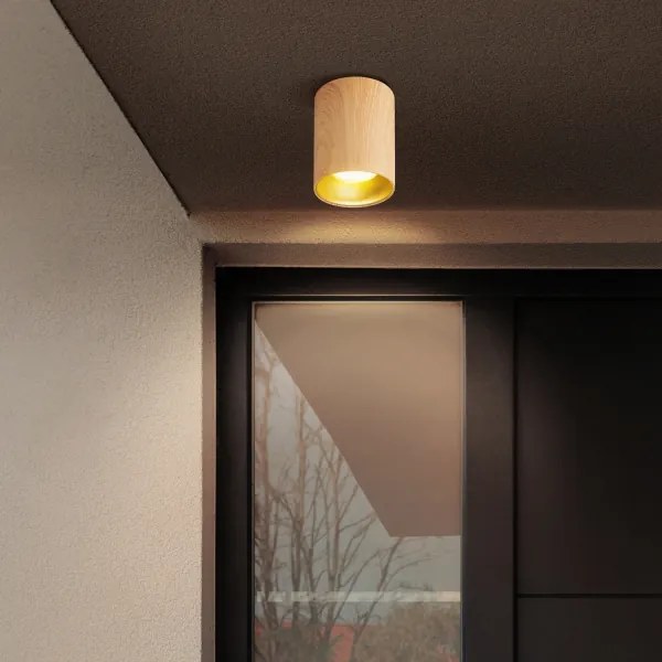 Brilagi - Spot LED RGBW cu dimmer TRINE 1xGU10/30W/230V, finisaj stejar