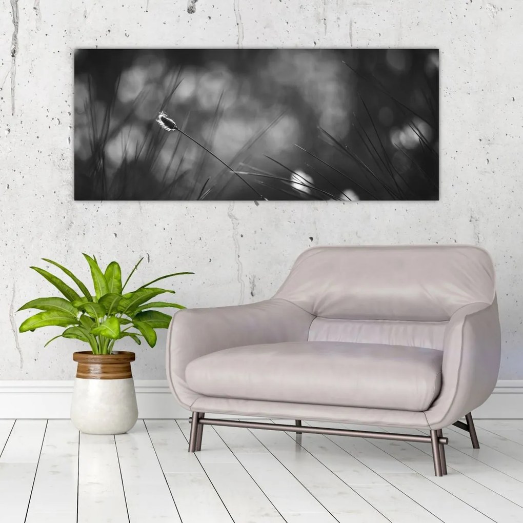 Tablou - Iarbă de pajiște (120x50 cm)