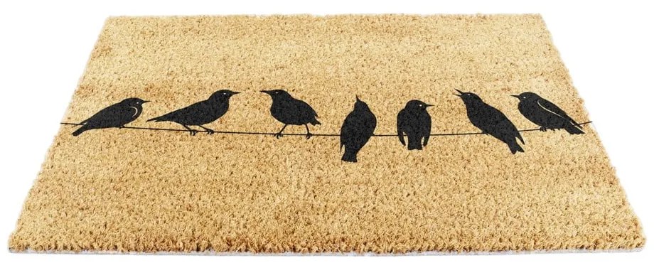 Covoraș de intrare din fibre de nucă de cocos 40x60 cm Birds On a Wire – Artsy Doormats