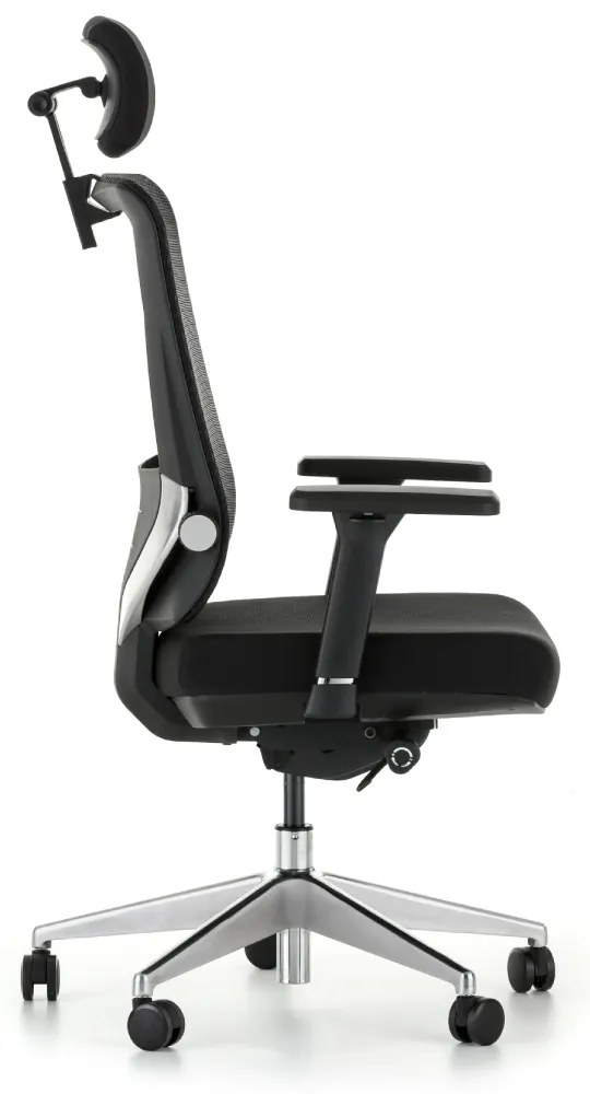 Scaun de birou Ergolux, negru