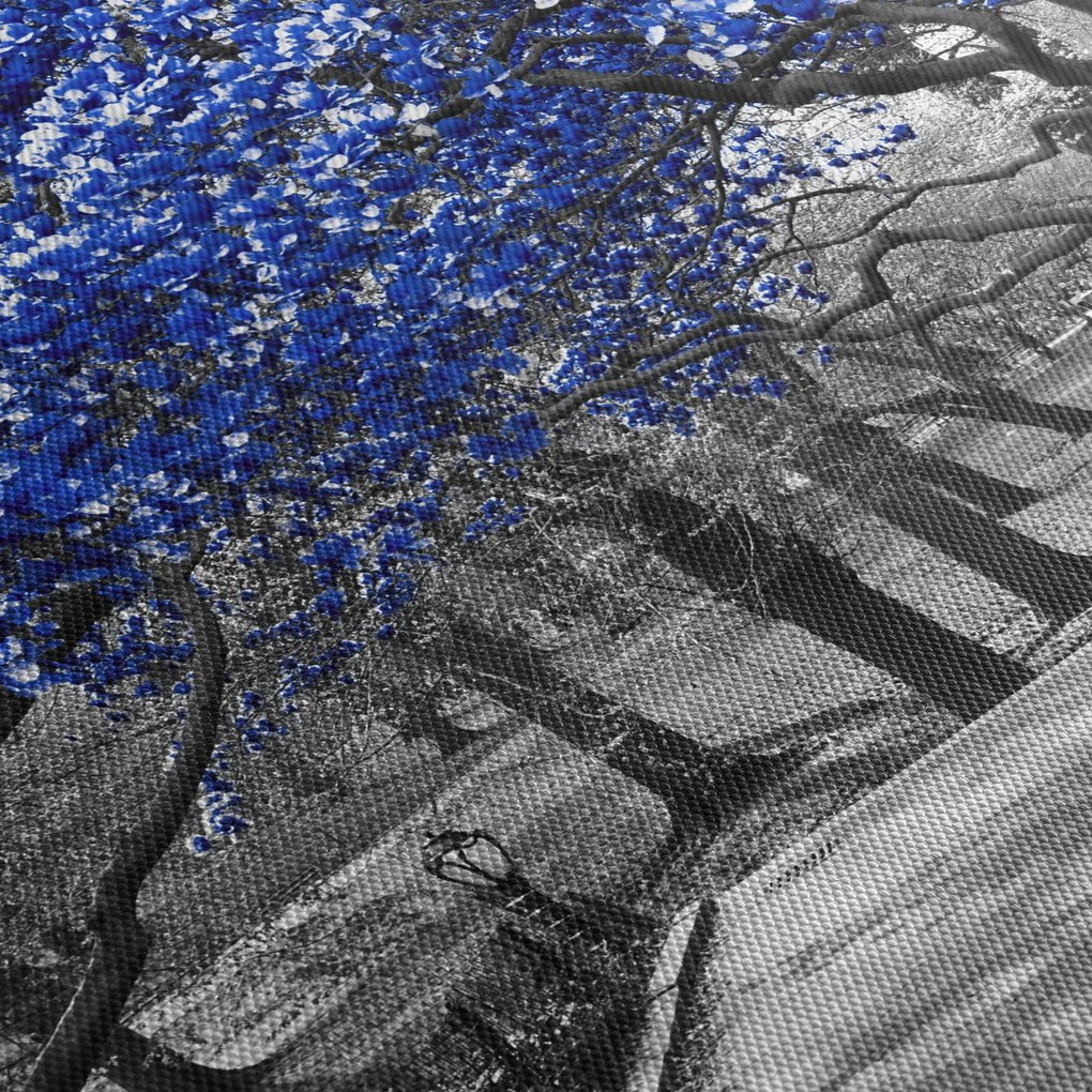 Tablou - Copaci albaștri Central Park, New York (70x50 cm)