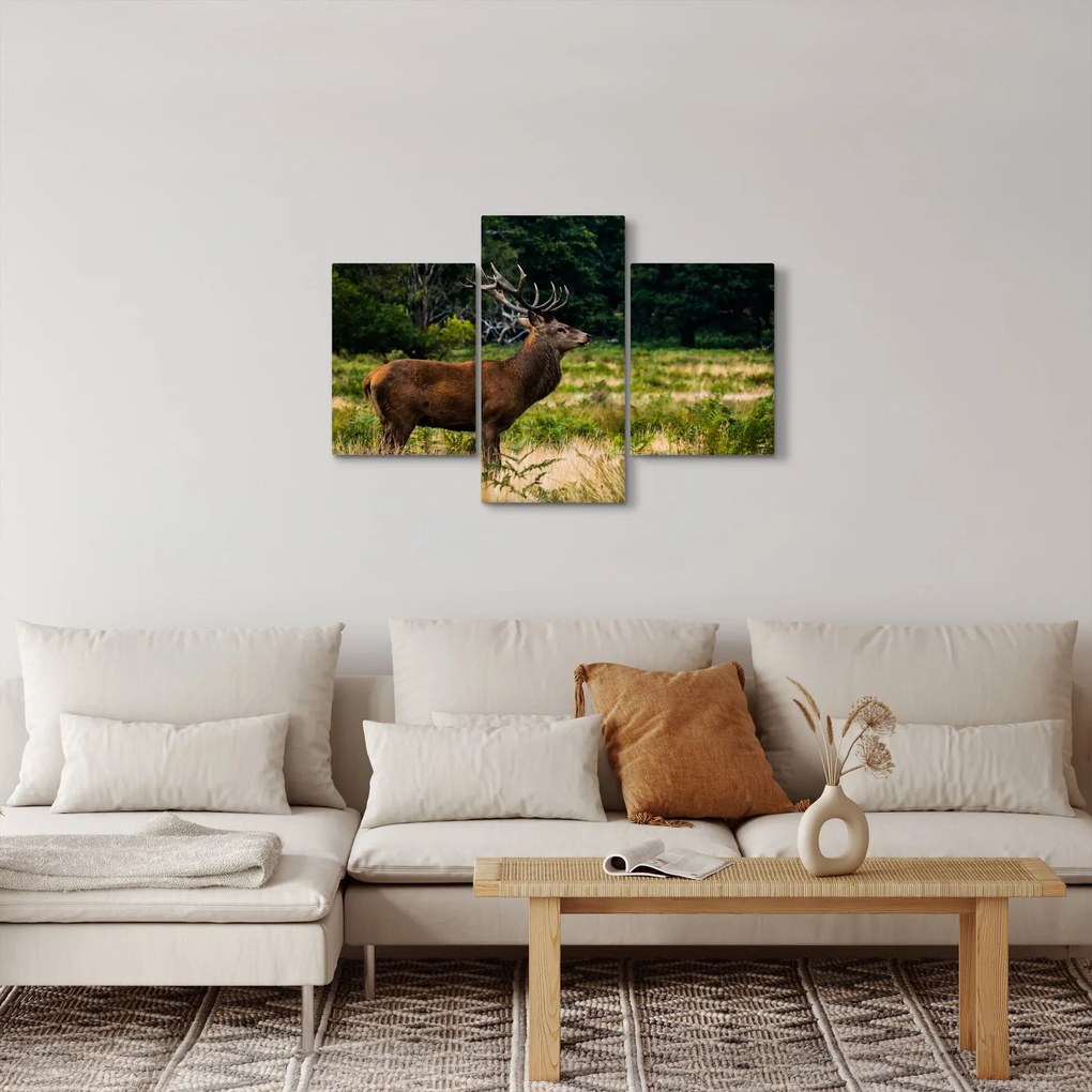 Tablou cu cerb (90x60 cm)