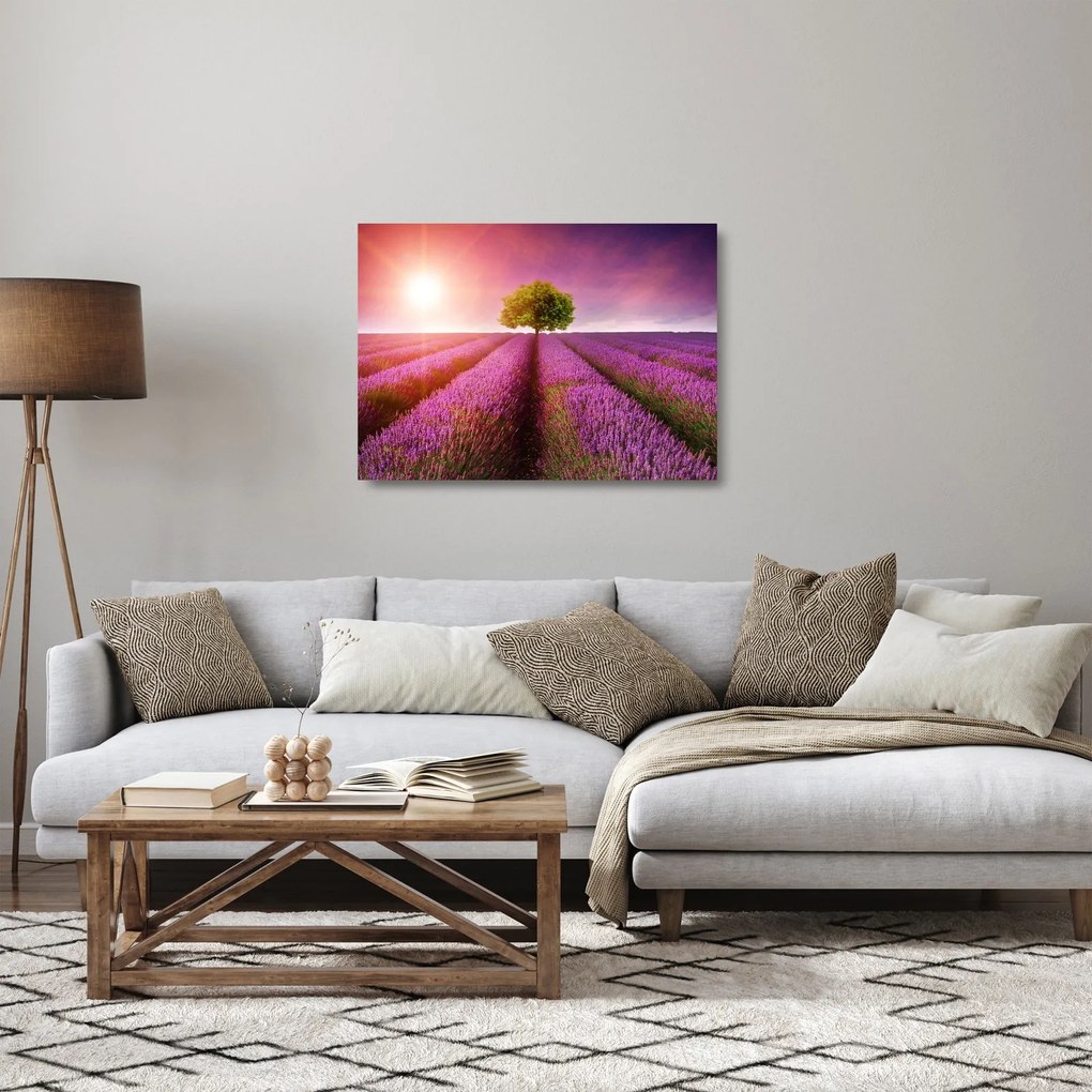 Tablou pe sticlă câmp cu lavandă (70x50 cm)