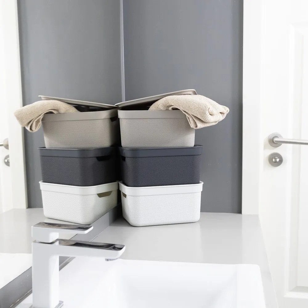 Cutie de depozitare din plastic cu capac Deco - Rotho