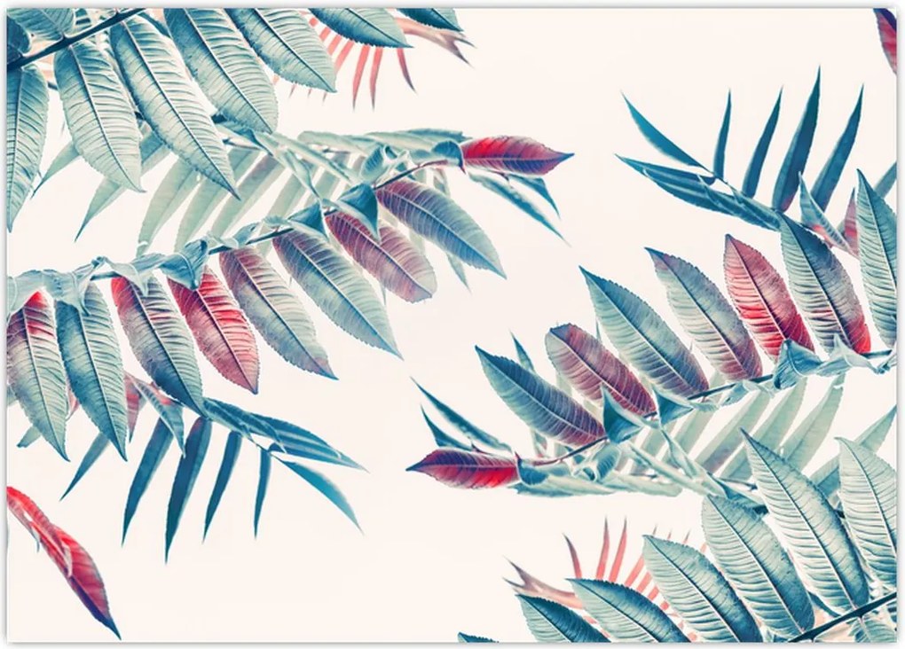 Tablou - Frunze tropicale (70x50 cm)