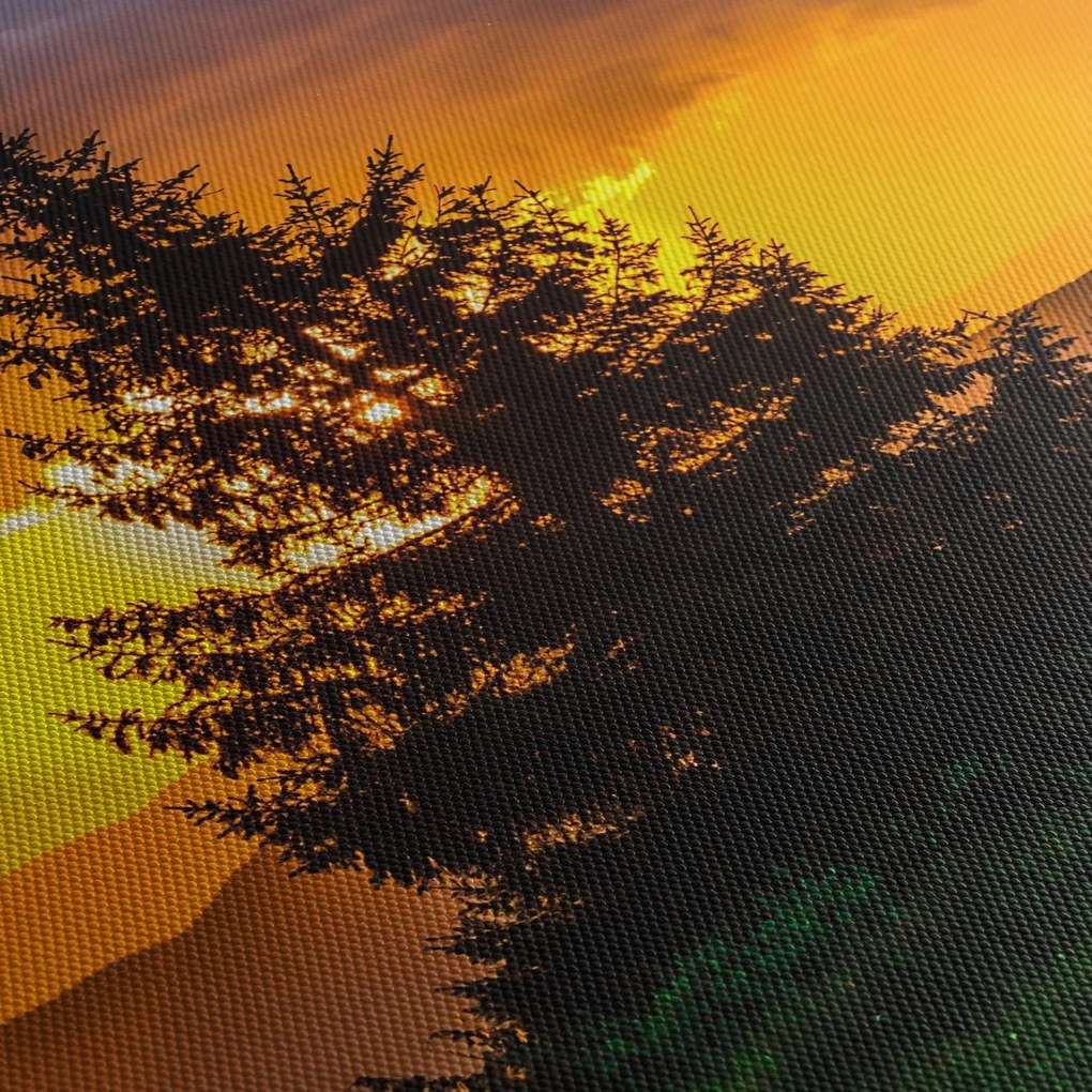 Tablou - coniferi (cu ceas) (90x30 cm)