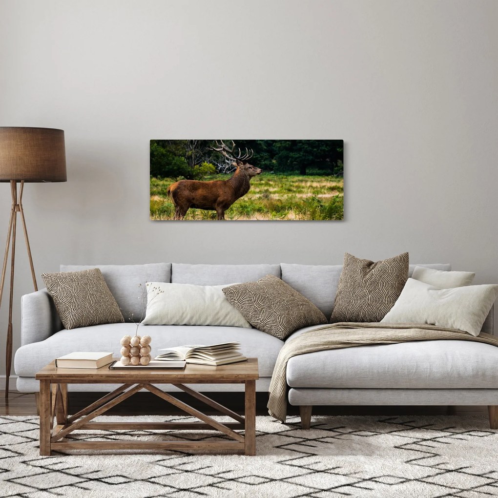 Tablou cu cerb (120x50 cm)