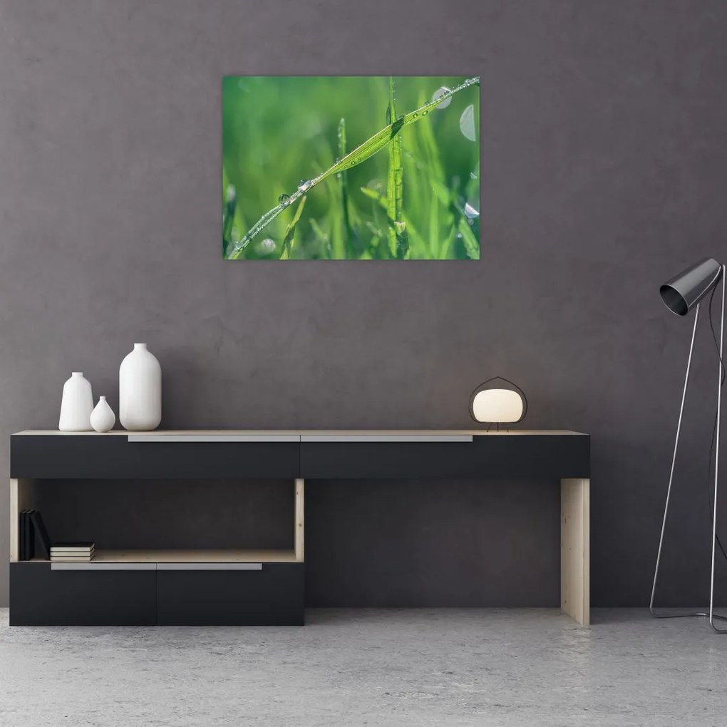 Tablou cu picături de rouă (70x50 cm)