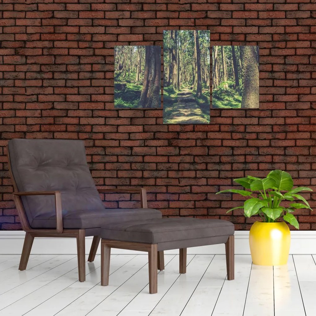Tablou cu drum între copaci (90x60 cm)
