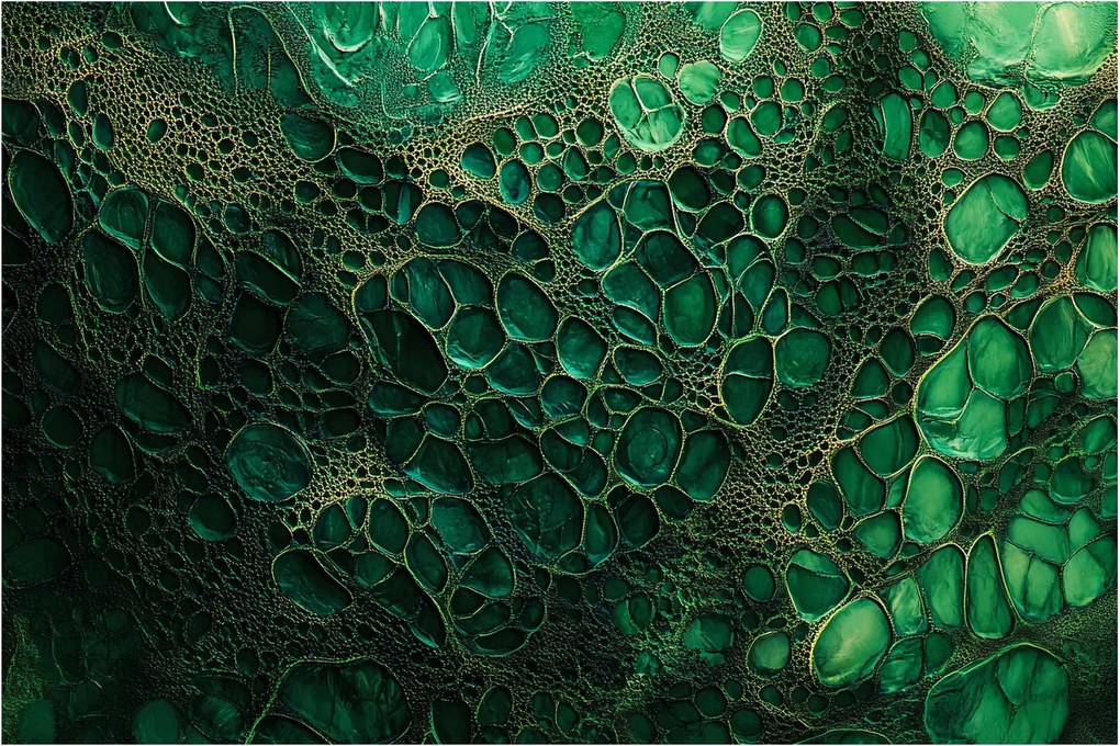 Tablou - Imagine microscopică verde (90x60 cm)