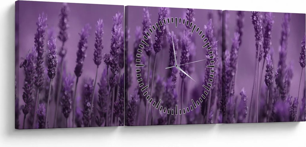 Tablou - Lavanda (cu ceas) (90x30 cm)