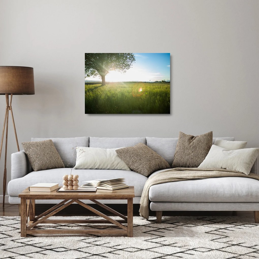 Tablou pe sticlă cu lunca în vară (70x50 cm)