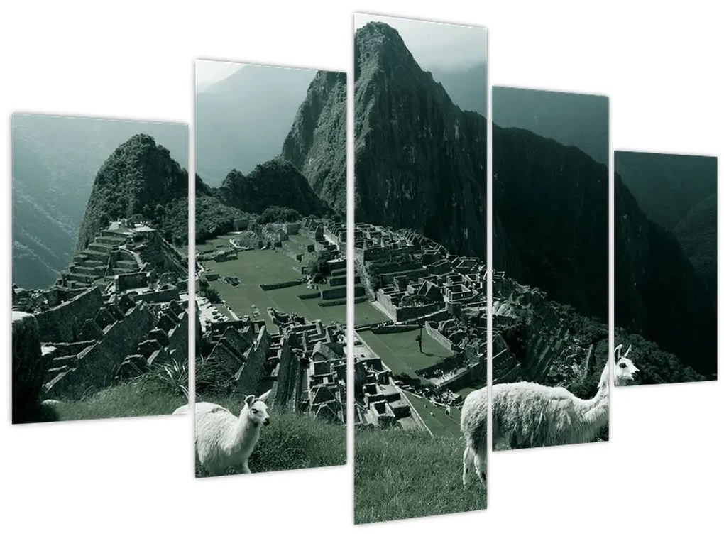 Tablou - Lamas la Machu Picchu în Peru (150x105 cm)
