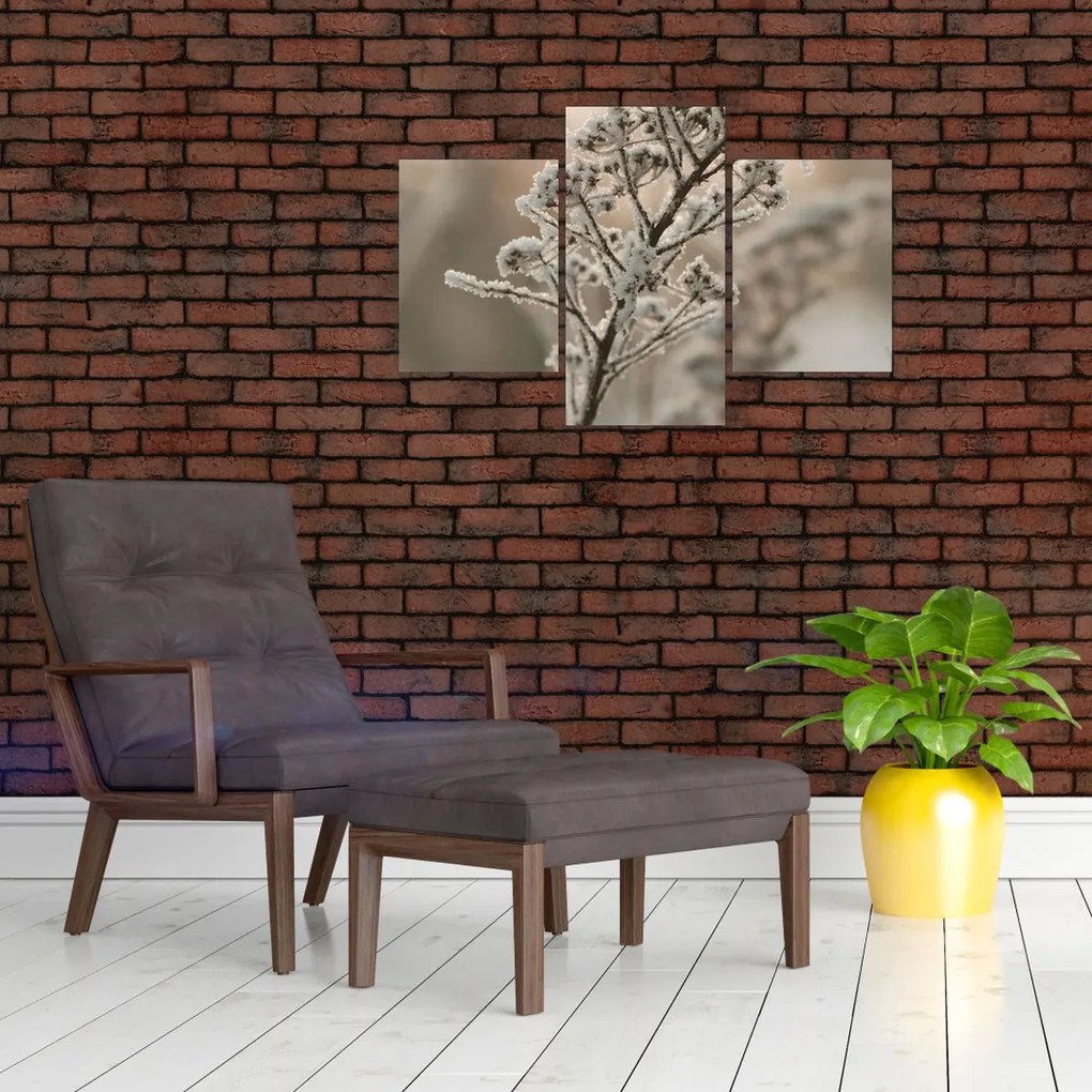 Tablou - Plantează în îngheț (90x60 cm)