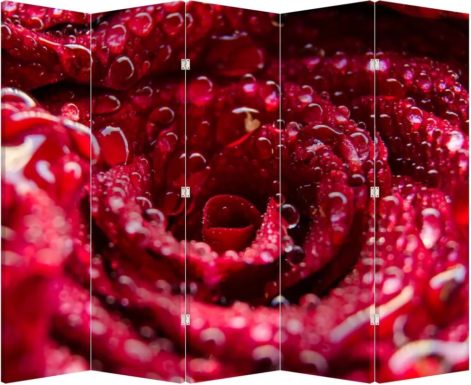 Paravan - floarea trandafirului roșu (210x170 cm)