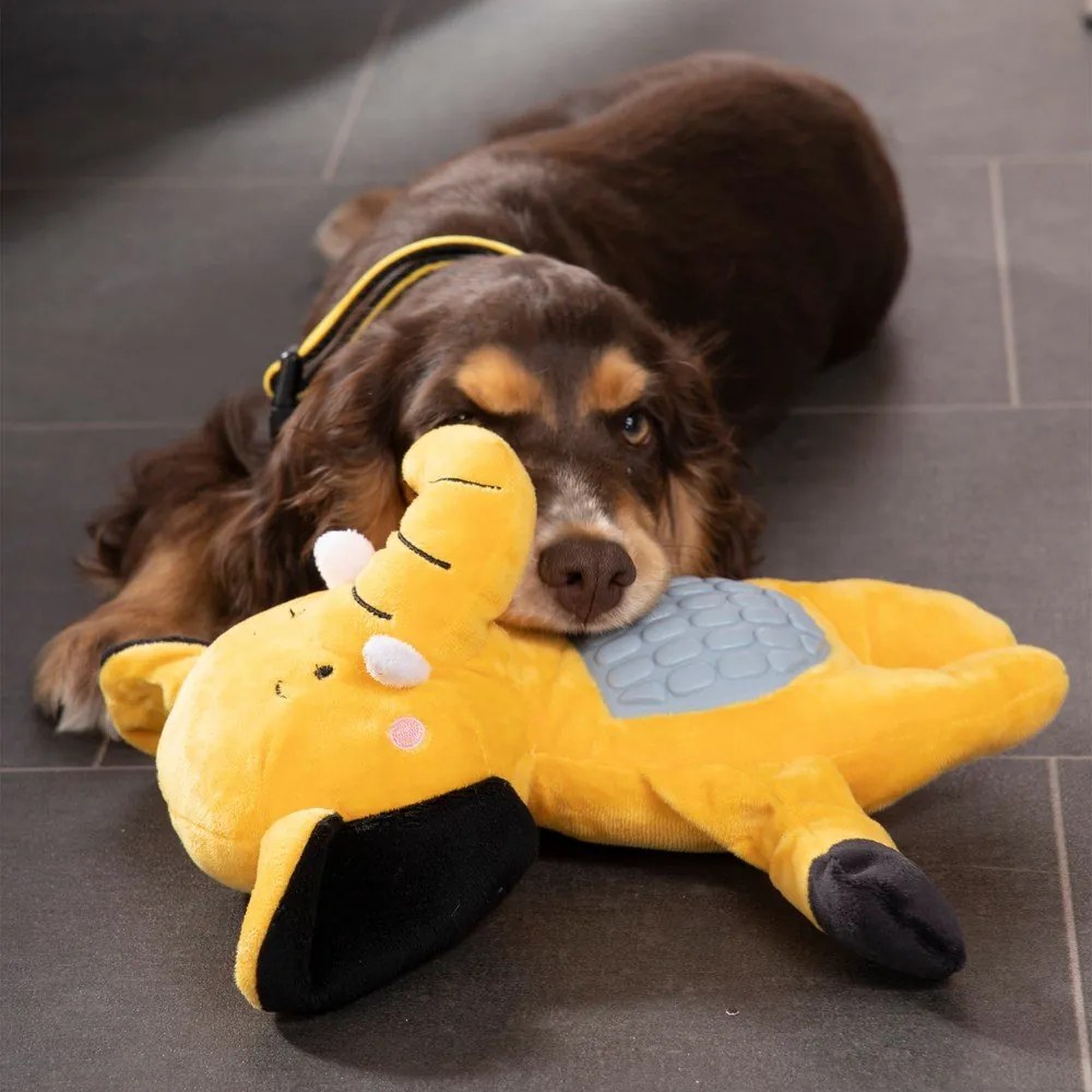 Jucărie pentru câine – Love Story