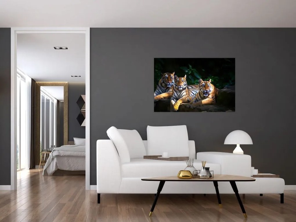 Tablou - Tigrii frați (90x60 cm)
